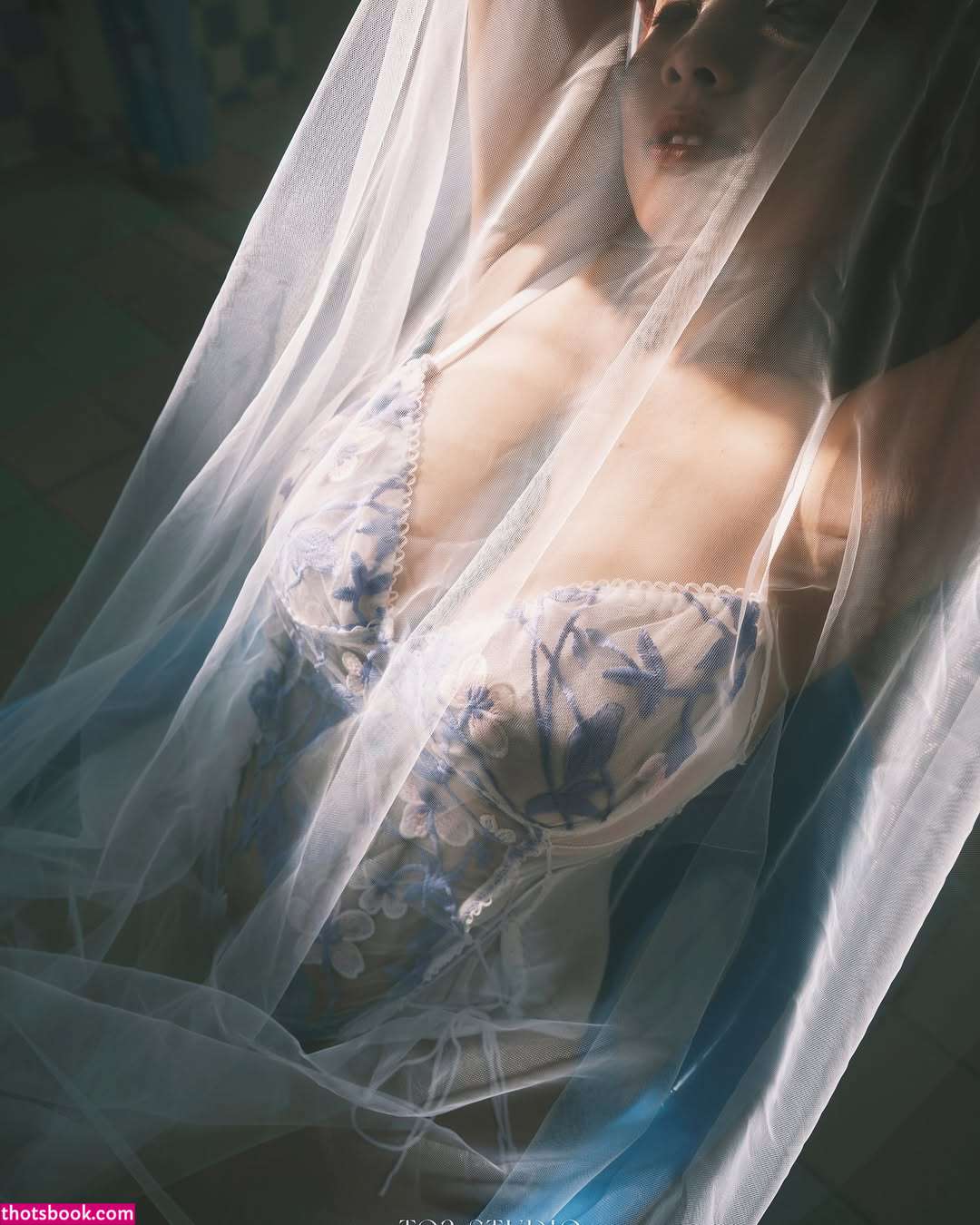 xiayushi030 Nude Leaks OnlyFans Photos #3 1884272