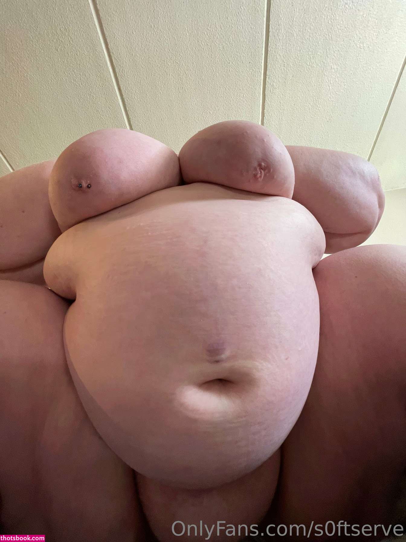 ssbbwerika Nude Leaks OnlyFans Photos #1 1855343