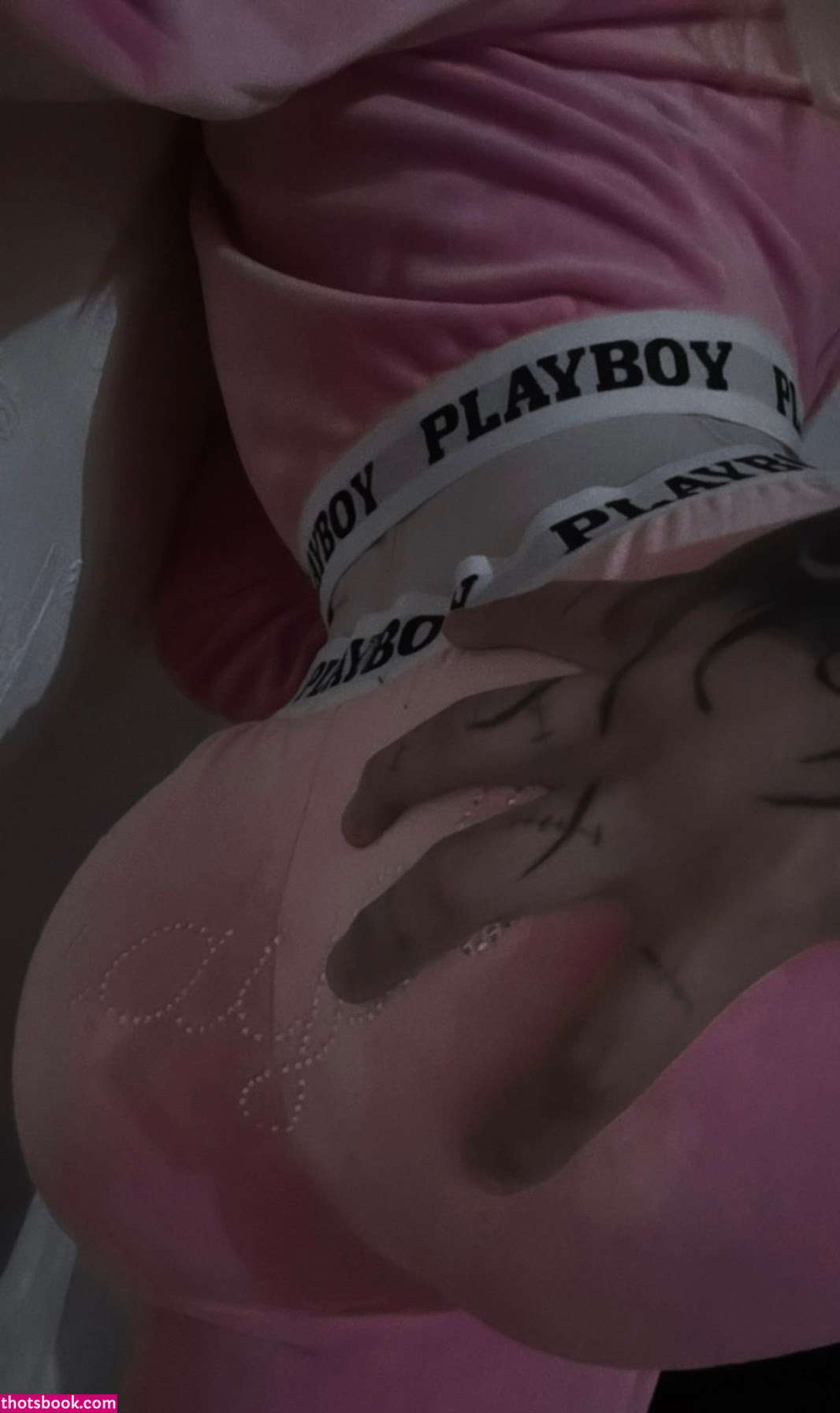 Stefany Chavez stefanychavez08 Nude Leaks OnlyFans Photos #5 1866088