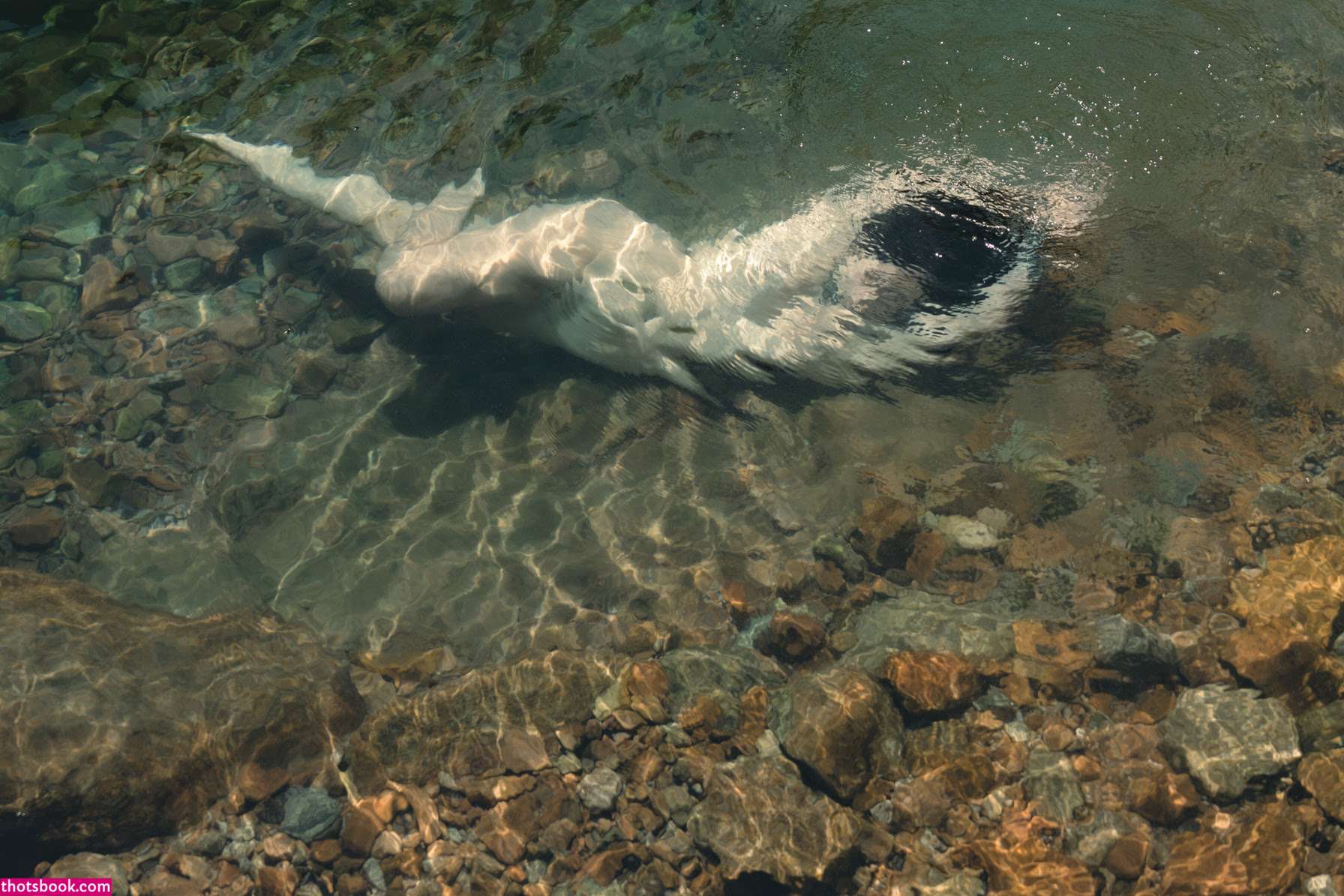 Leonie Buchegger Nude Leaks OnlyFans Photos #4 1850629