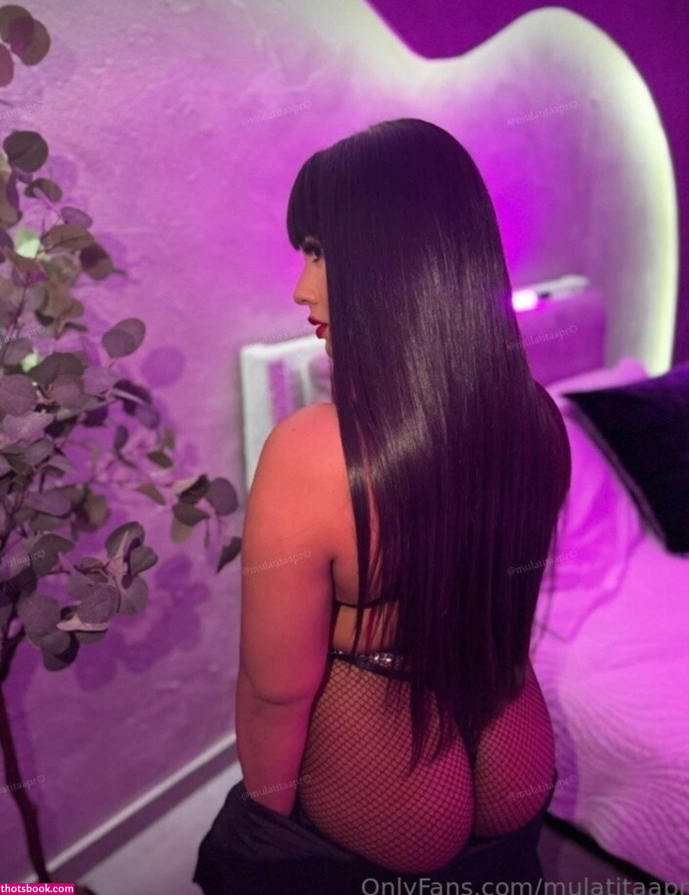 mulatitaapr Nude Leaks OnlyFans Photos #2 1851332