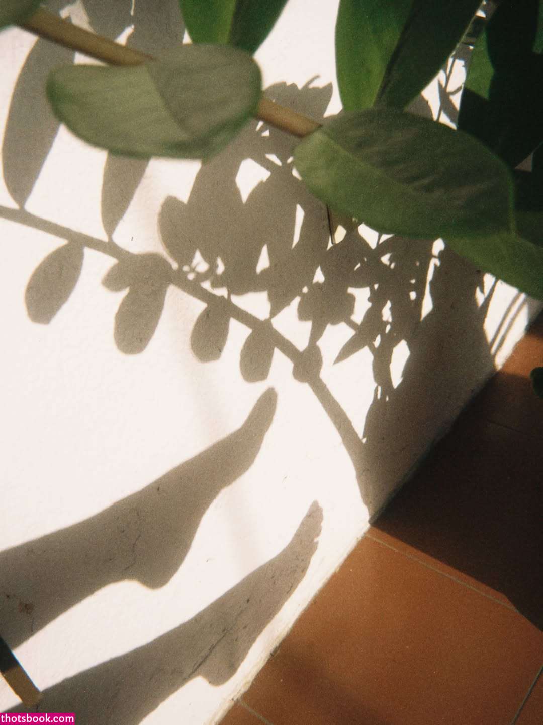 elitepinkbaby GunButterfly deadweight16 butterfly326 Nude Leaks OnlyFans Photos #1 1894520