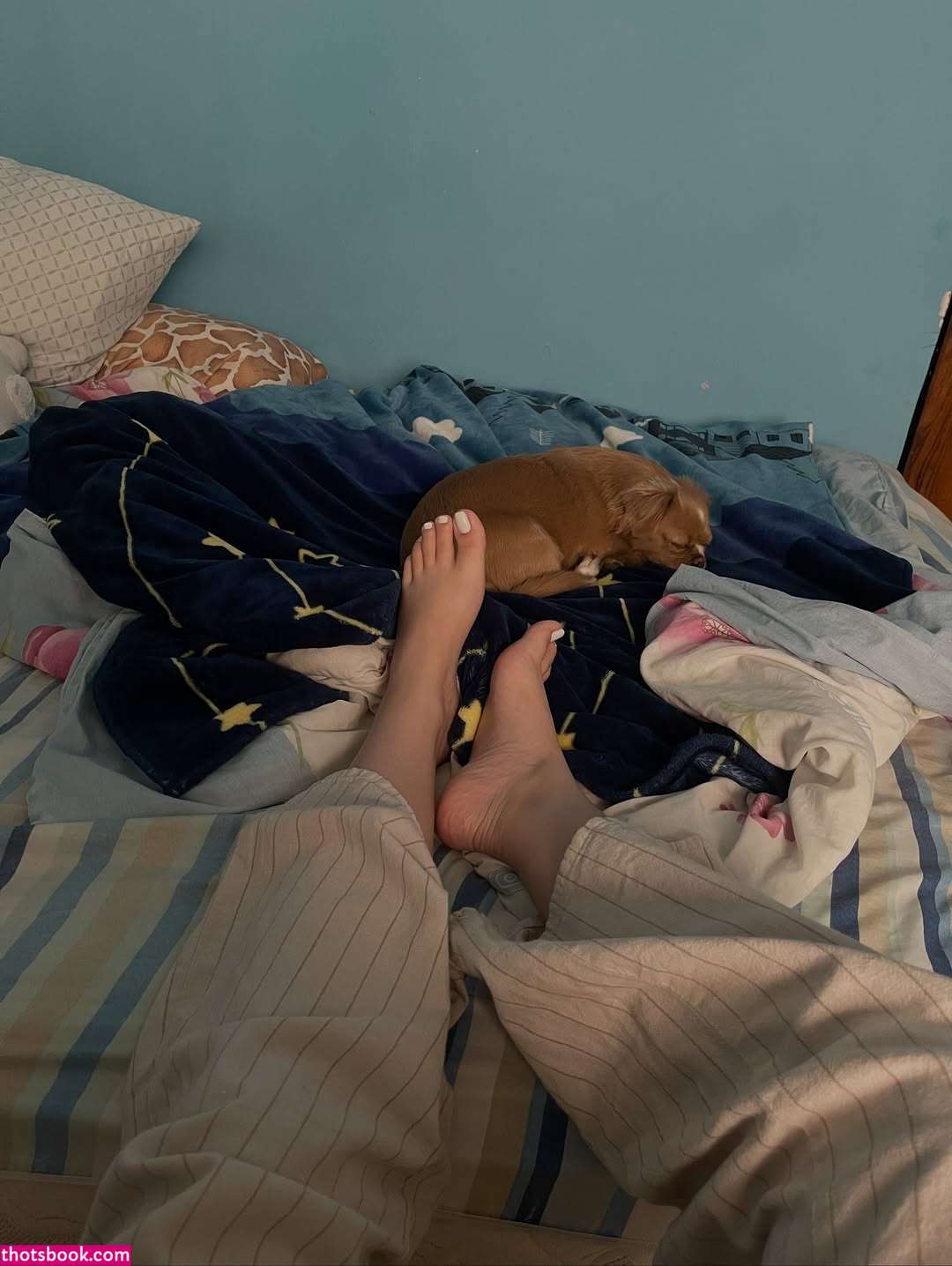 elitepinkbaby GunButterfly deadweight16 butterfly326 Nude Leaks OnlyFans Photos #4 1894545