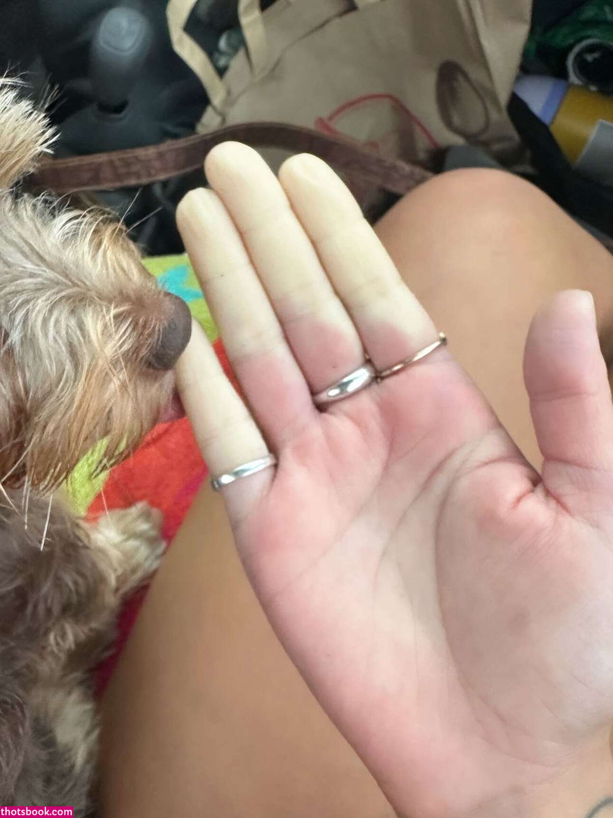 Kaile Goh Nude Leaks OnlyFans Photos #8 1906412