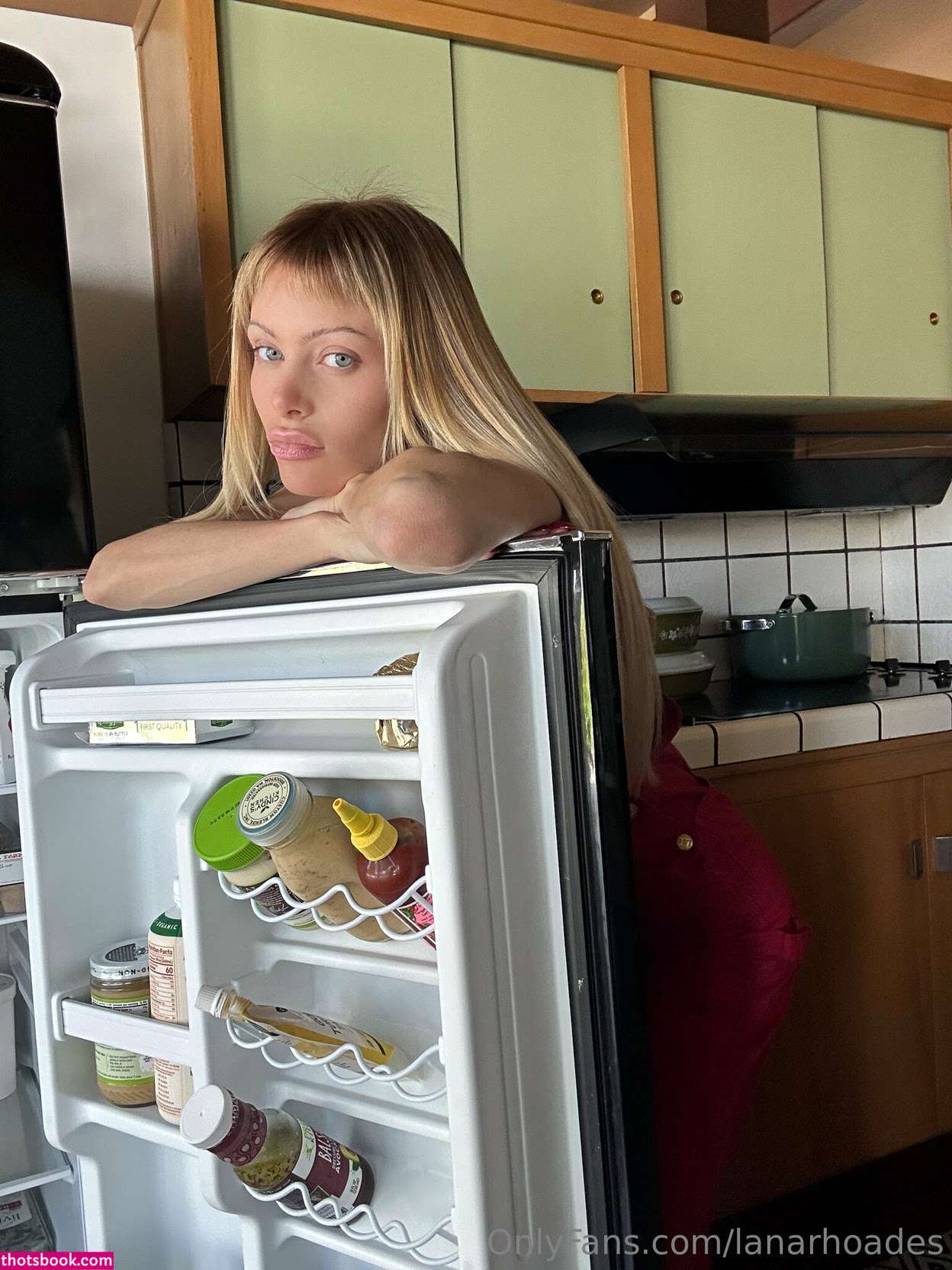 Lana Rhoades Nude Leaks OnlyFans Photos #48 1899875