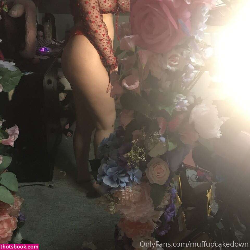 TiredMuFin MuffUpCakeDown Nude Leaks OnlyFans Photos #5 1944113