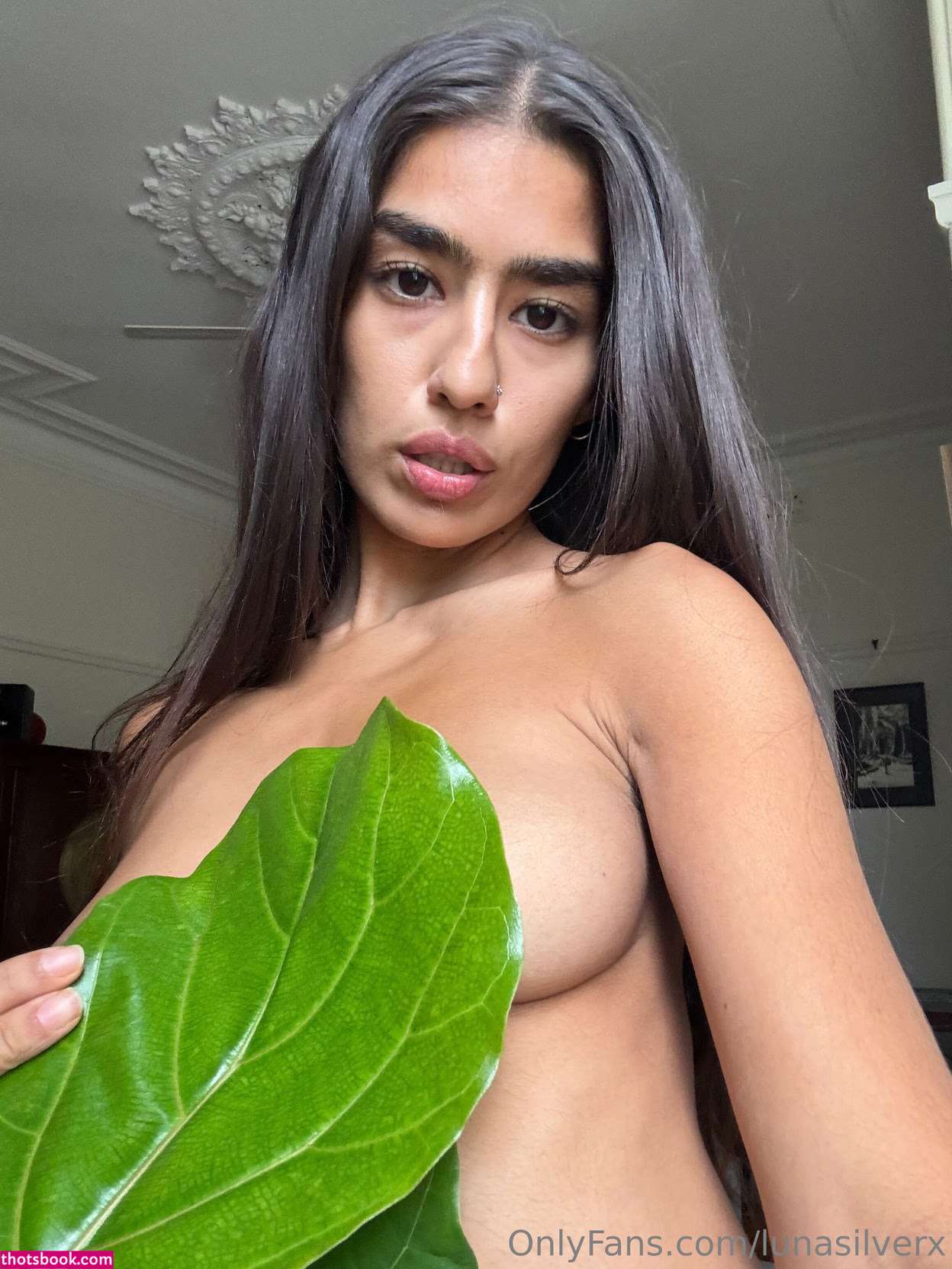 lunasilverx Aaeysha Nude Leaks OnlyFans Photos #31 1933635