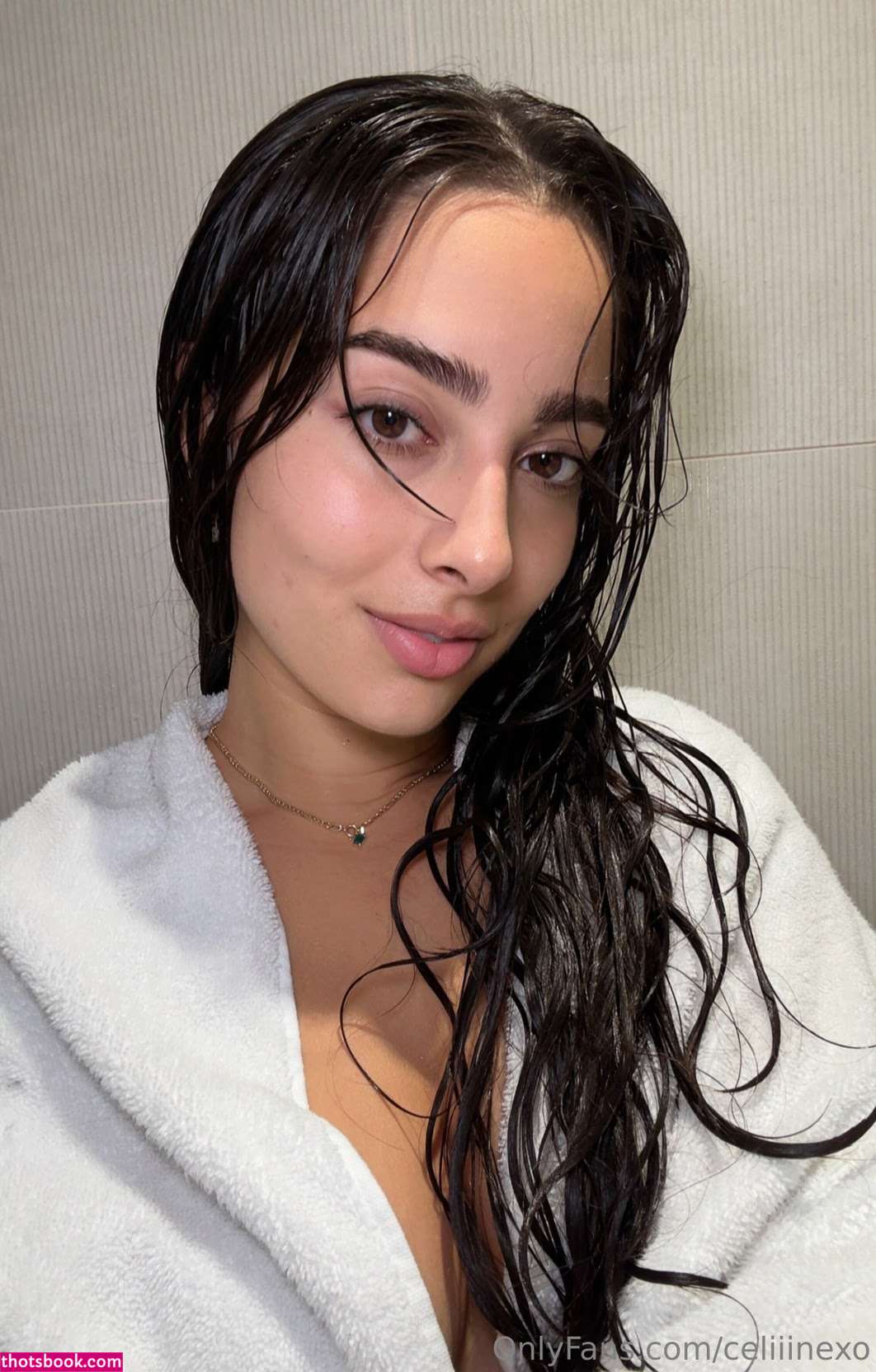 Celiiinexo Nude Leaks OnlyFans Photos #3 1949881