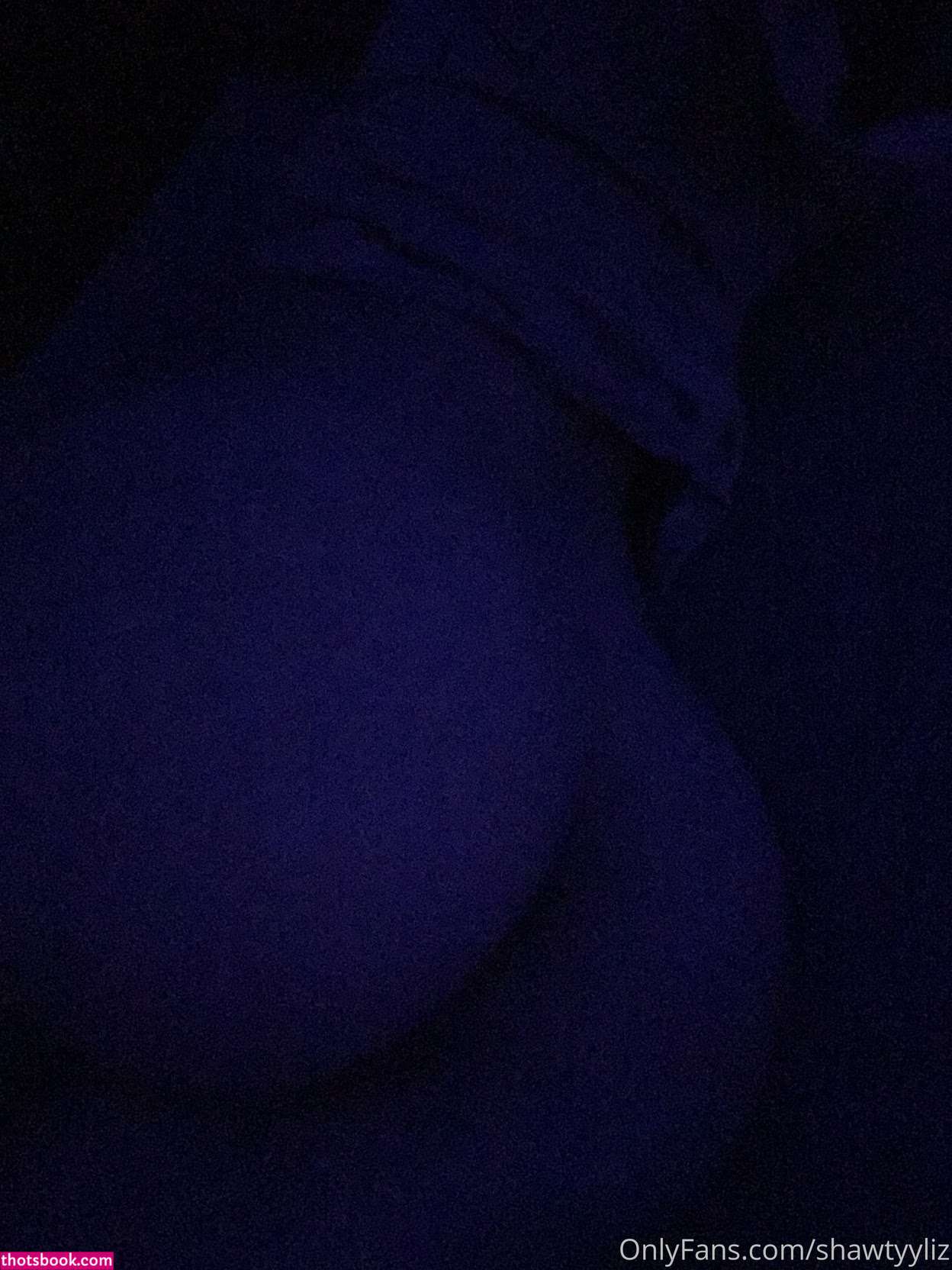 Shawtyyliz Badgale Nude Leaks OnlyFans Photos #4 1928827