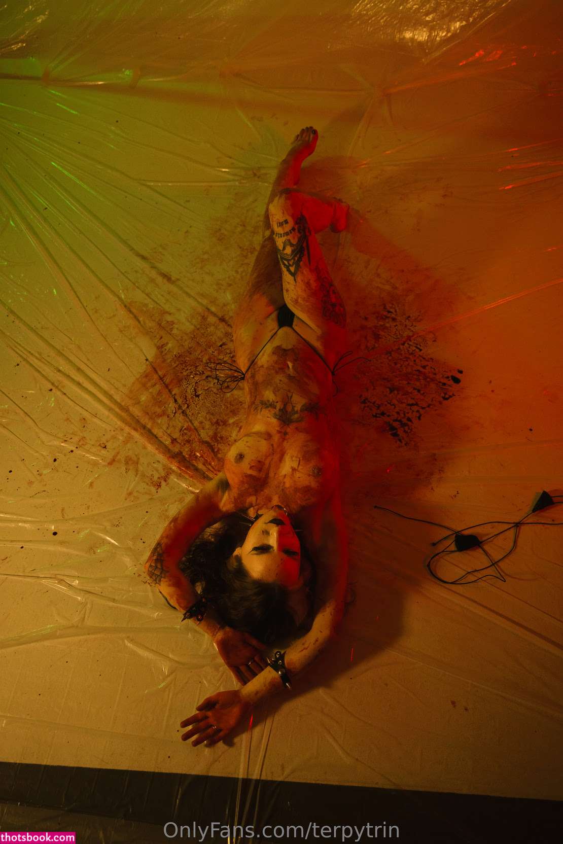 terpytrin Nude Leaks OnlyFans Photos #2 1954948