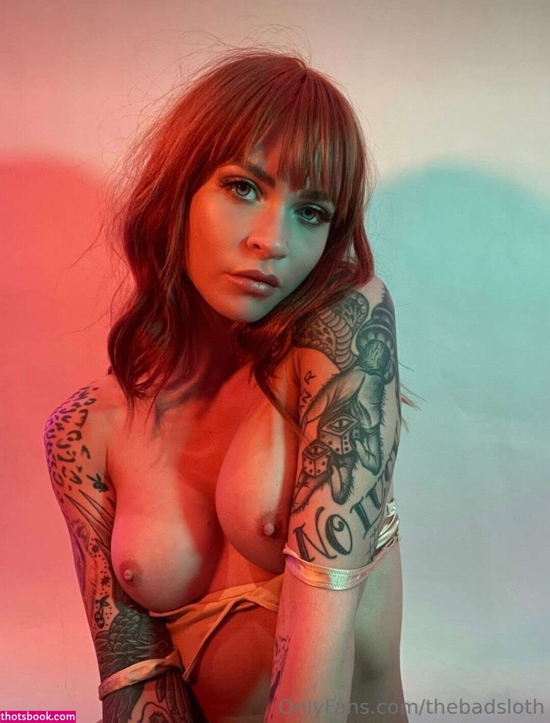 Briana Stimmel Brianna Alexa Van TheBadSloth Nude Leaks OnlyFans Photos #5 1576142