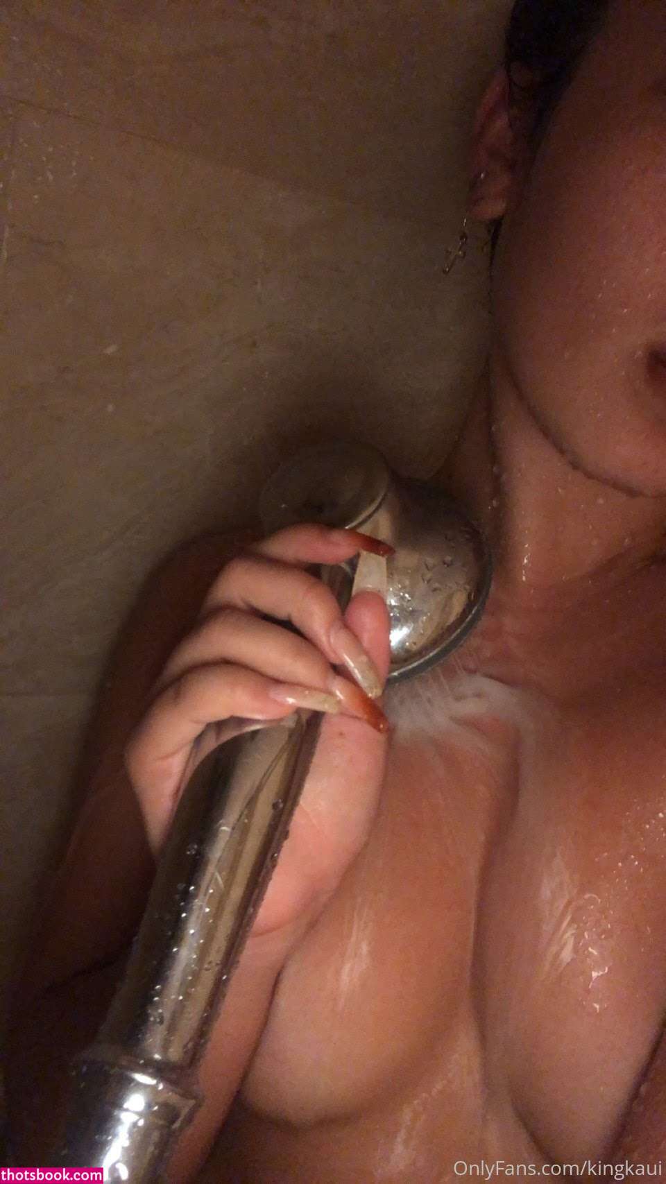 kingkaui kauigoodness Nude Leaks OnlyFans Photos #5 1837992