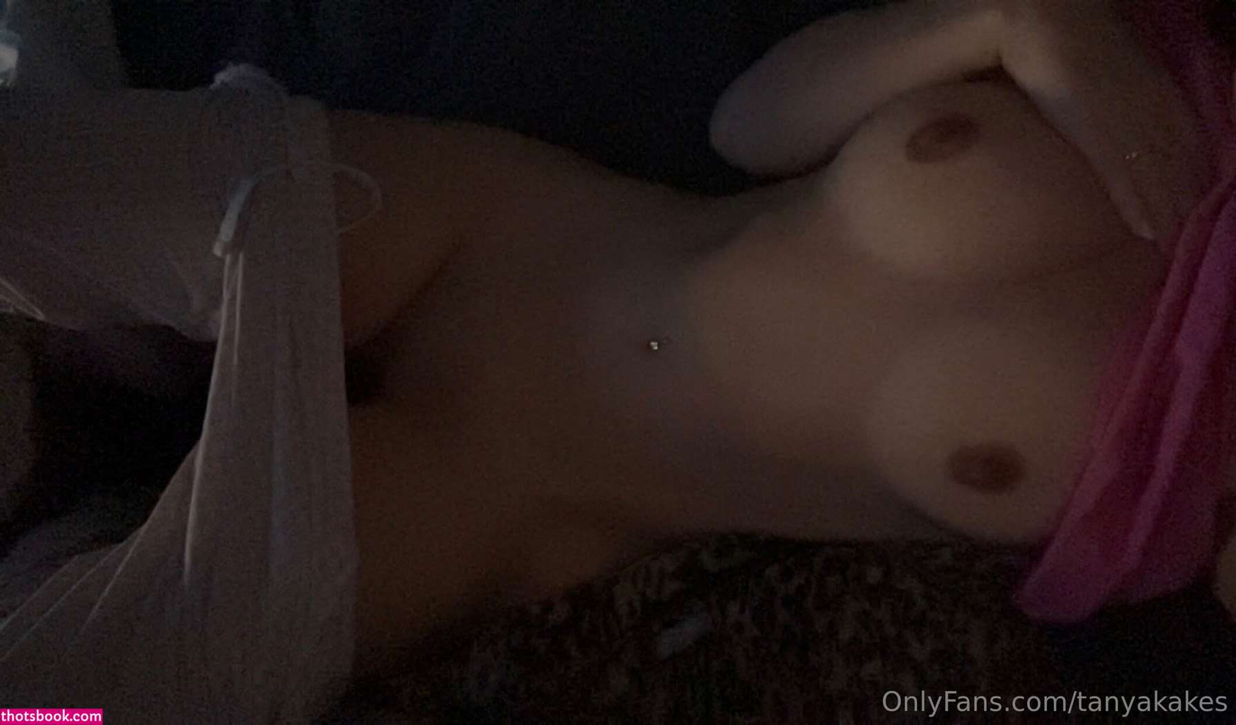 TanyaKakes Nude Leaks OnlyFans Photos #3 1838554
