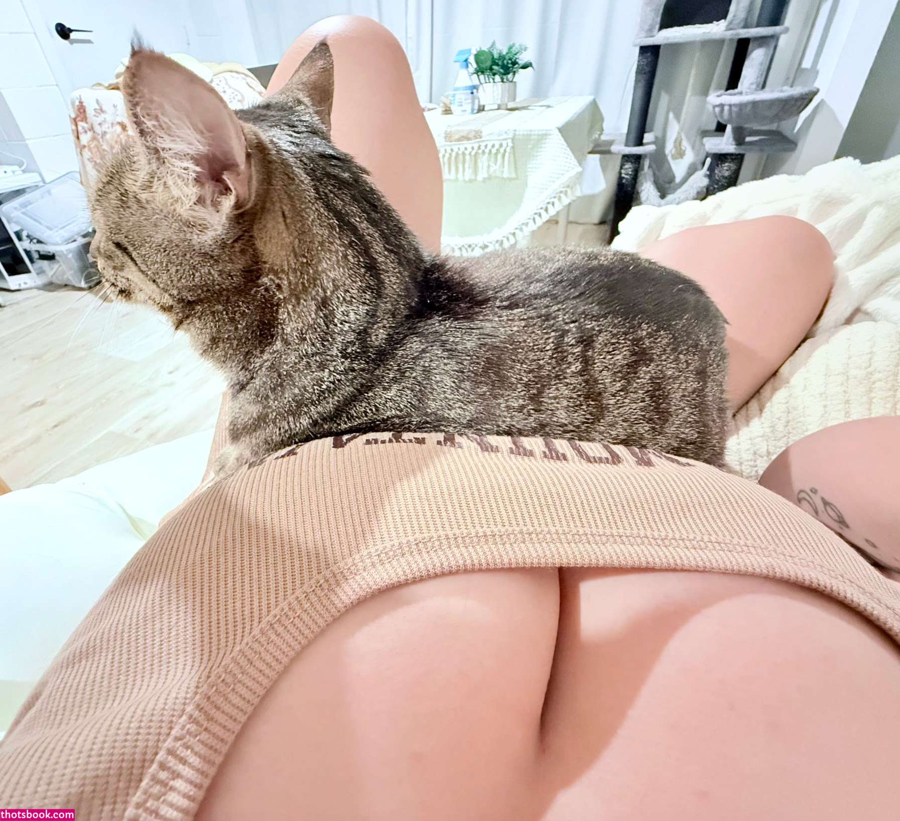 NekoPanVT DarkiPan Nude Leaks OnlyFans Photos #6 1835345